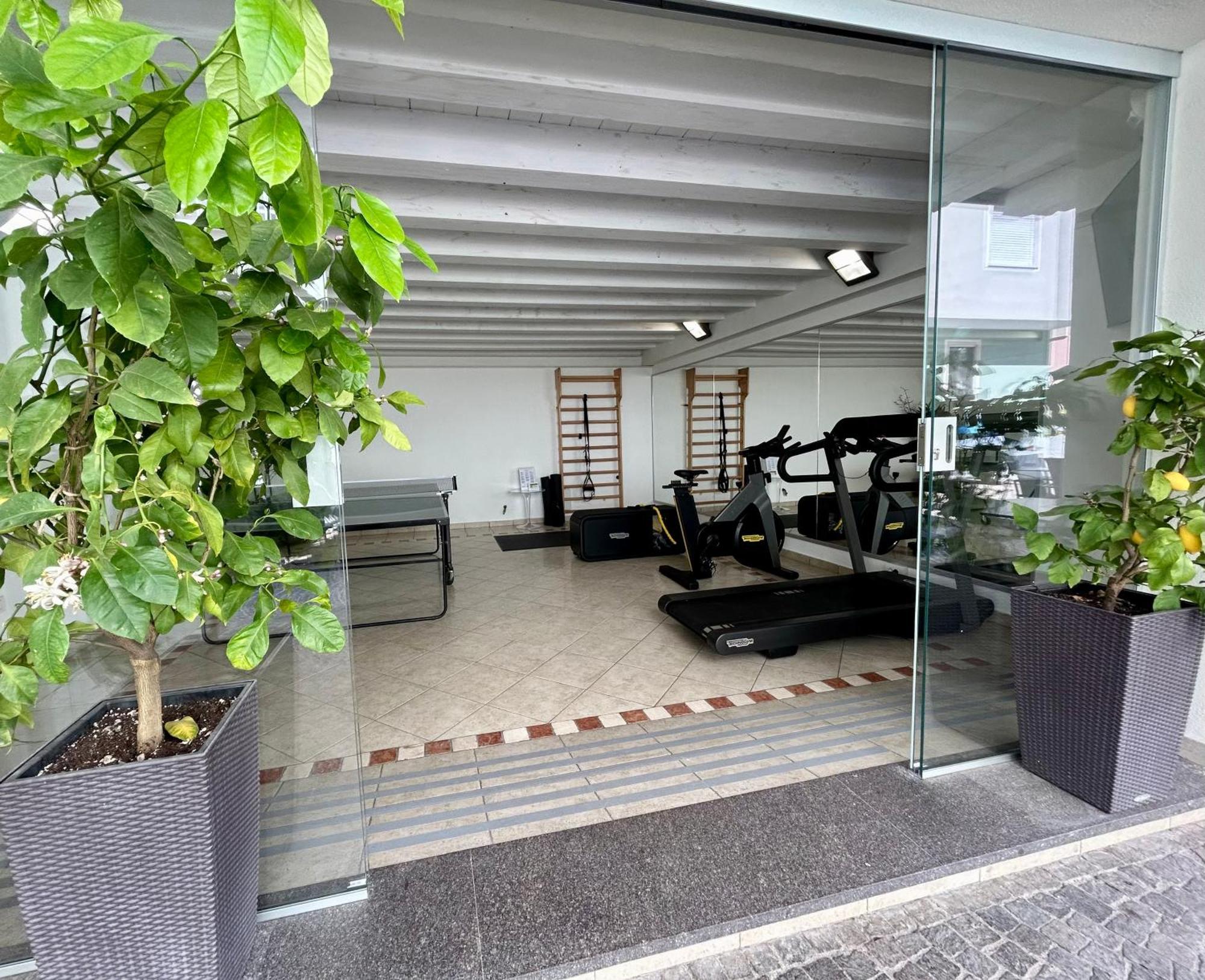 Attic Suite Palme 加尔达湖滨 外观 照片